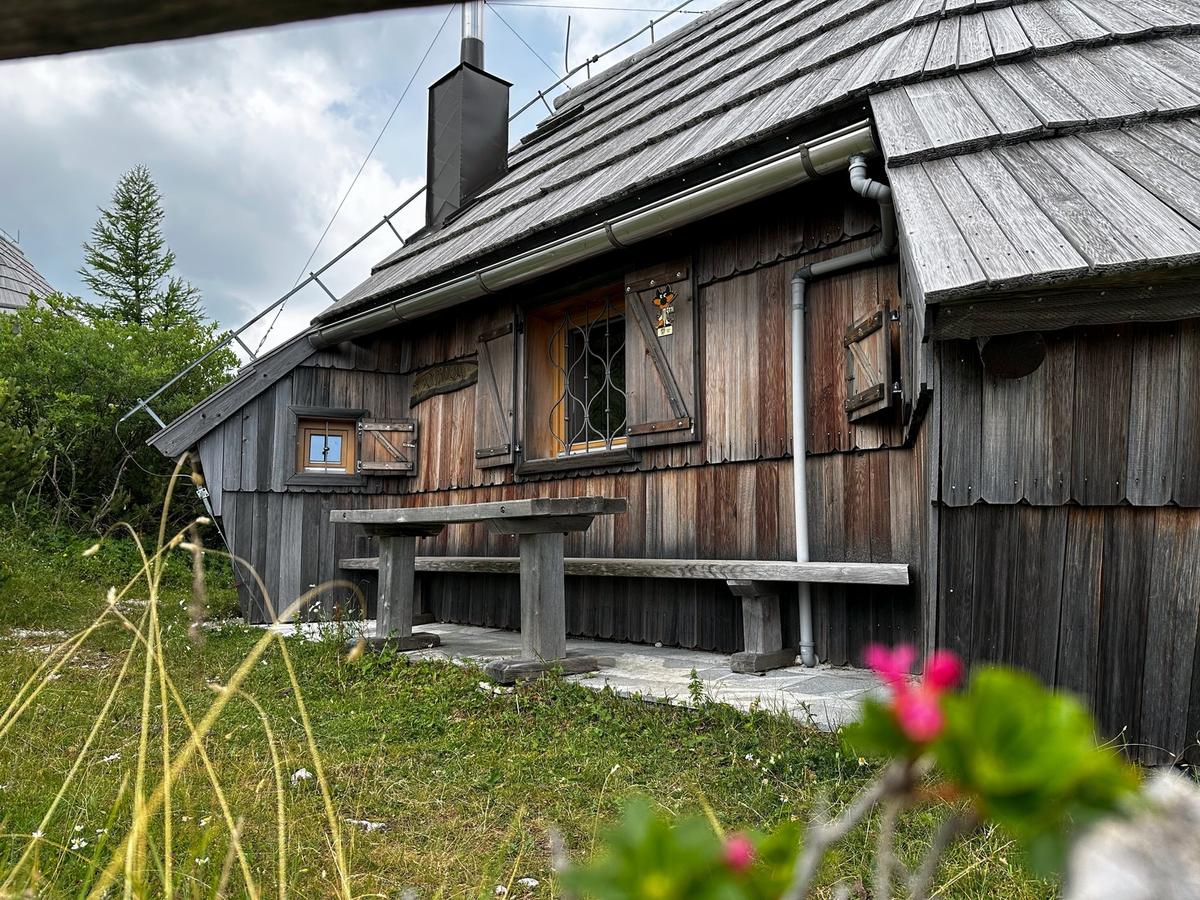 Aufenthalt mit Haustier in Koča Kamrica