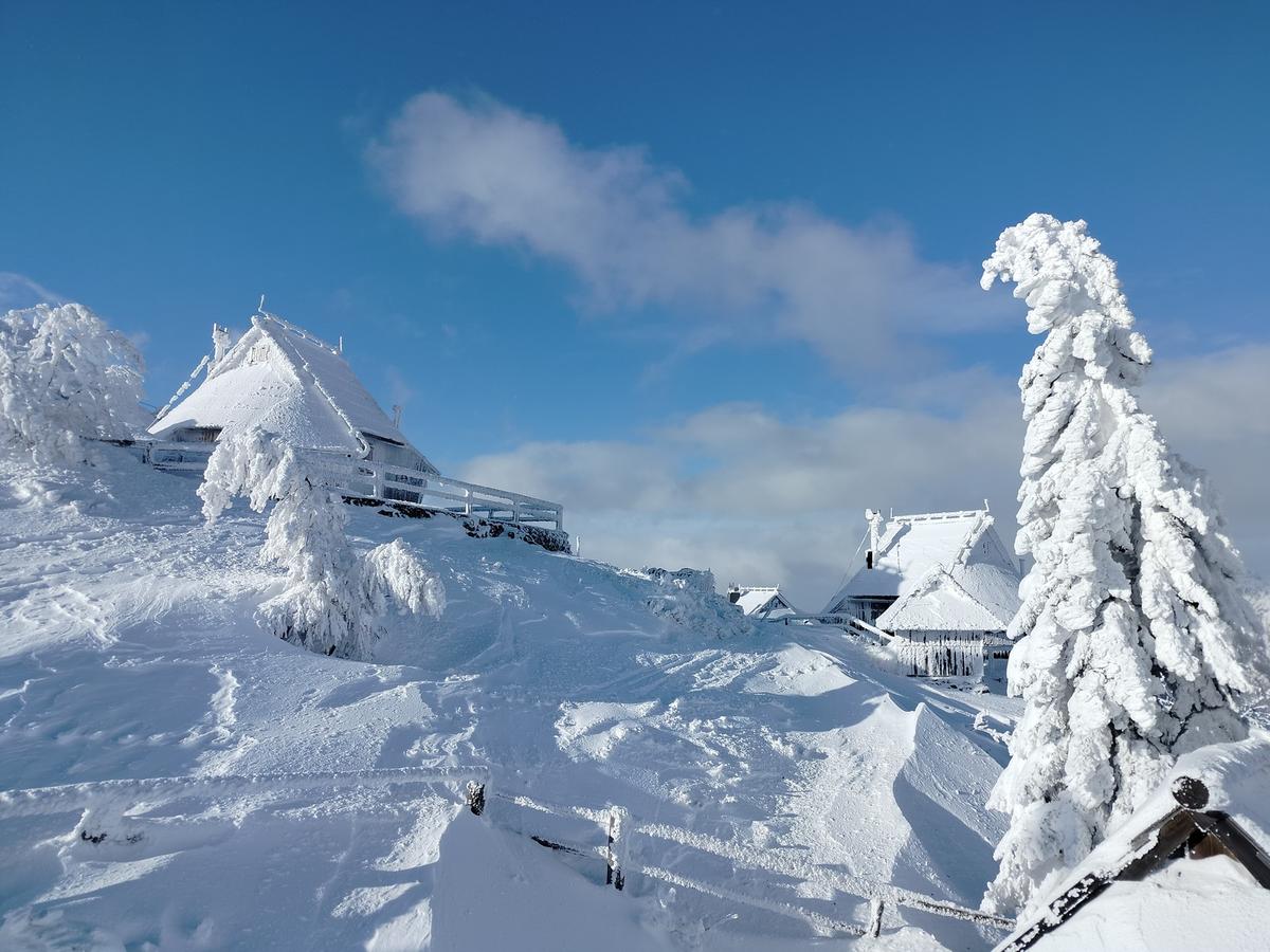 Velika planina in inverno