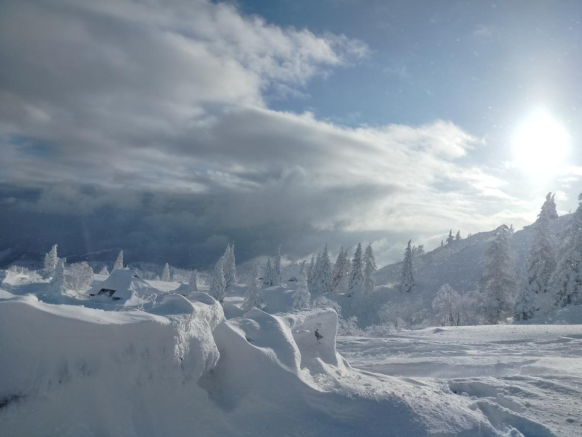 Snowy landscape near Koča Kamrica